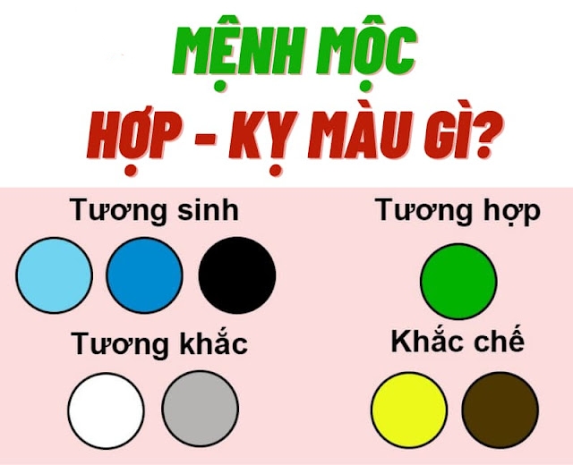 Vợ chồng mệnh Mộc mua xe màu gì