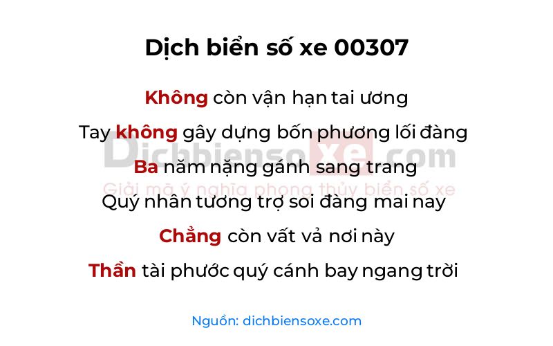 Dịch thơ biển số 00307