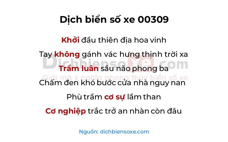 Dịch thơ biển số 00309