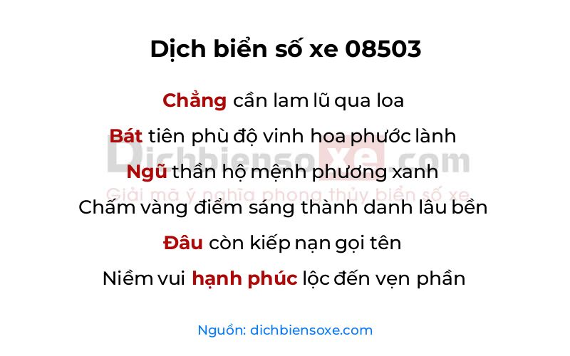 Dịch thơ biển số 08503