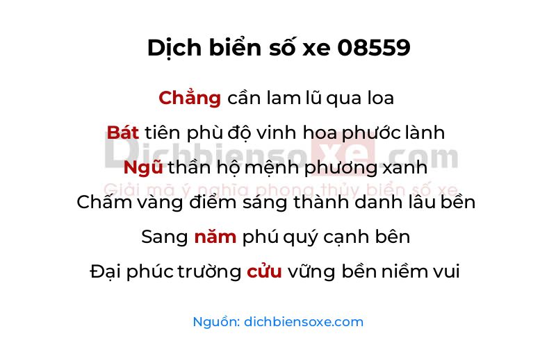 Dịch thơ biển số 08559
