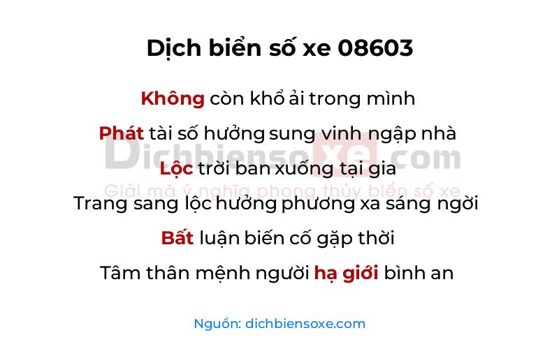 Dịch thơ biển số 08603
