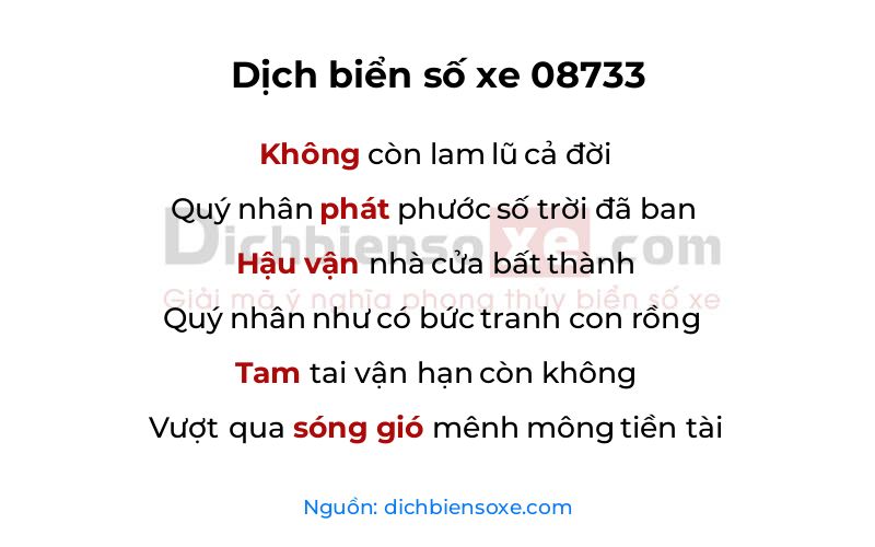Dịch thơ biển số 08733