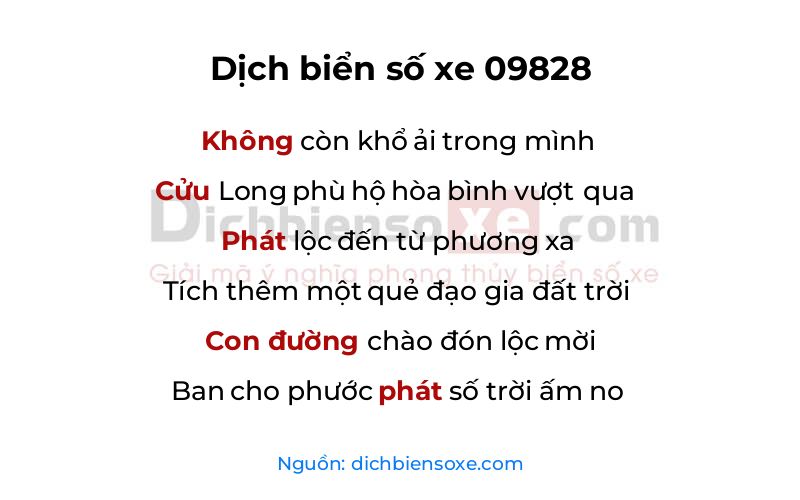 Dịch thơ biển số 09828