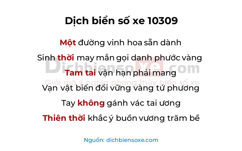 Dịch thơ biển số 10309