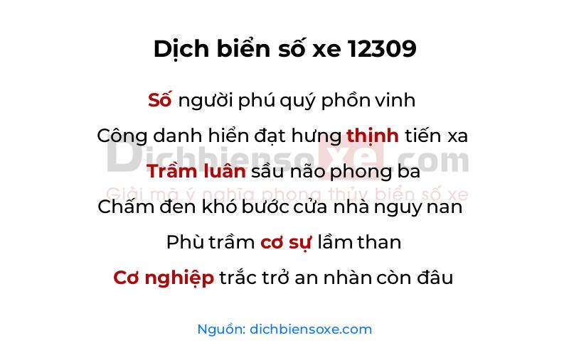 Dịch thơ biển số 12309