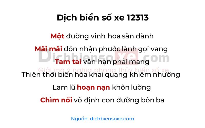 Dịch thơ biển số 12313