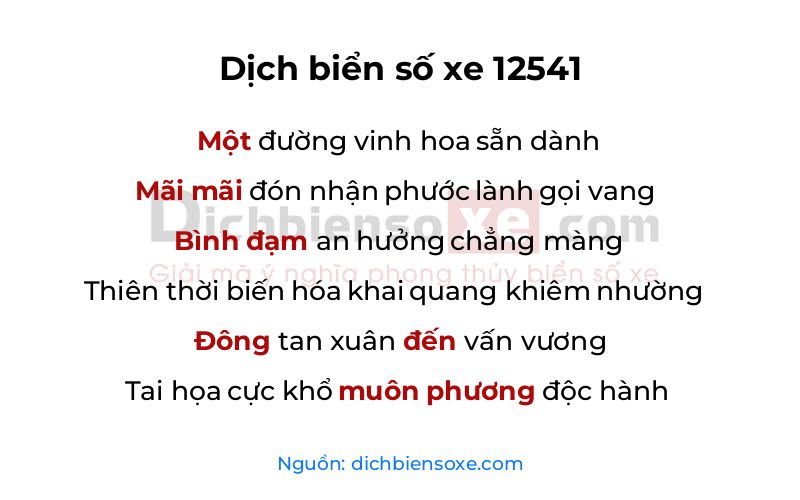 Dịch thơ biển số 12541