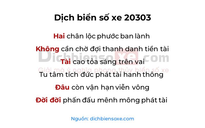 Dịch thơ biển số 20303