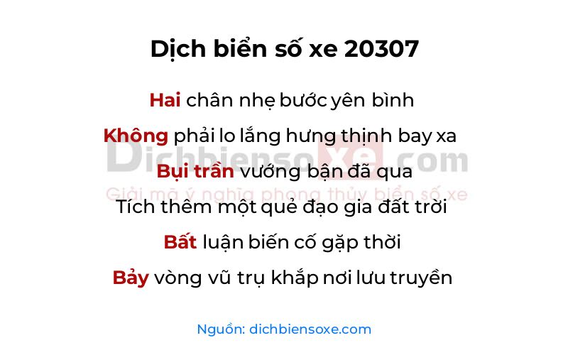Dịch thơ biển số 20307