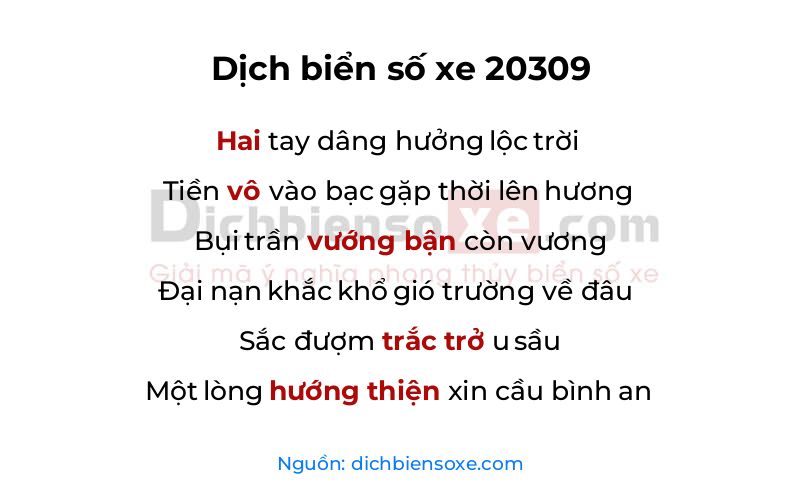Dịch thơ biển số 20309