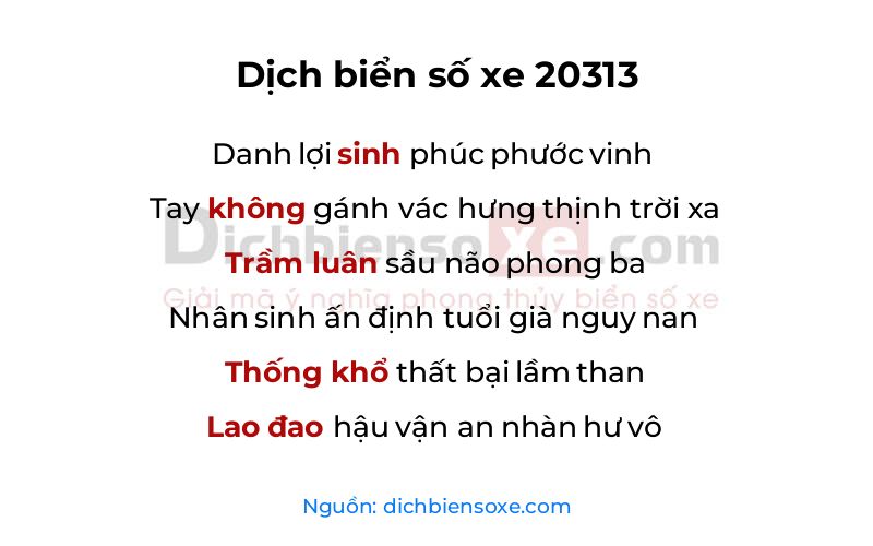 Dịch thơ biển số 20313