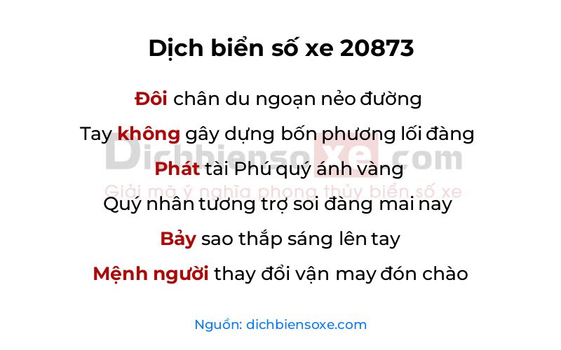 Dịch thơ biển số 20873