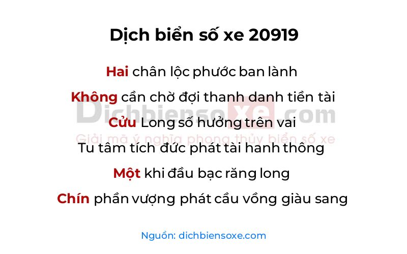 Dịch thơ biển số 20919