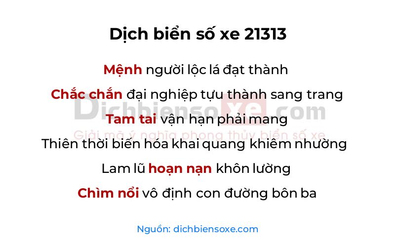 Dịch thơ biển số 21313