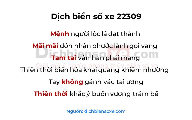 Dịch thơ biển số 22309