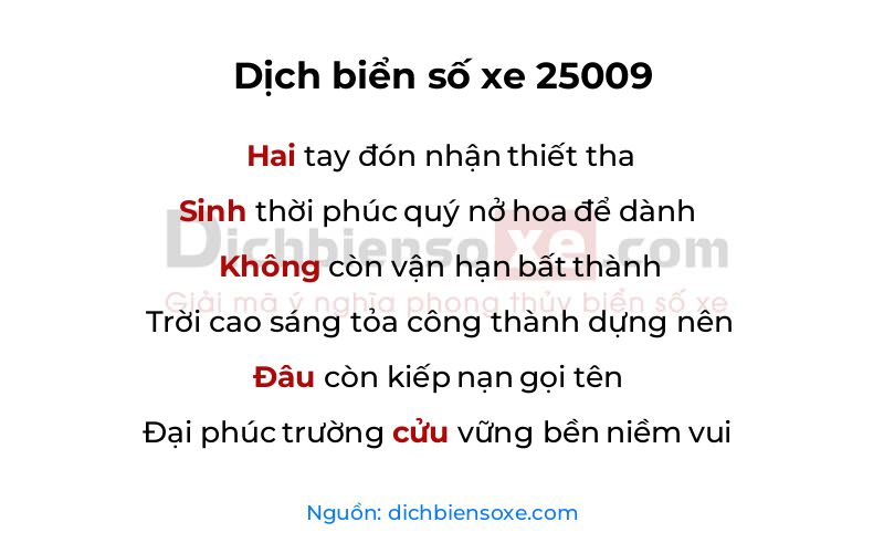 Dịch thơ biển số 25009