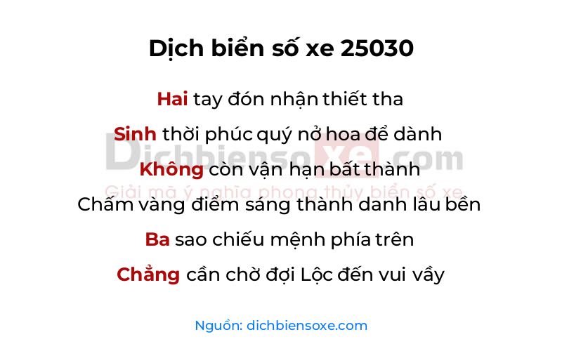 Dịch thơ biển số 25030