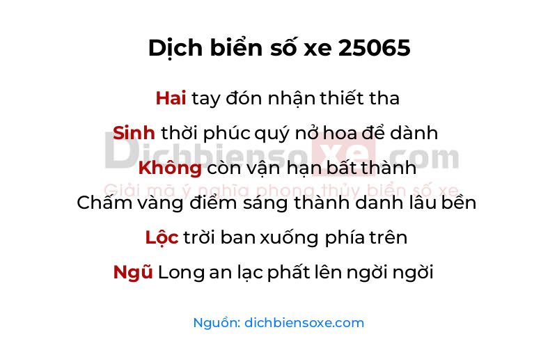Dịch thơ biển số 25065