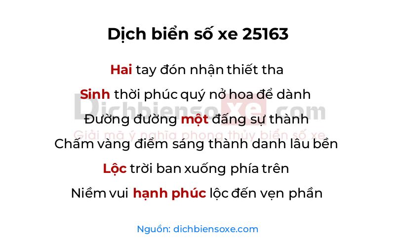 Dịch thơ biển số 25163