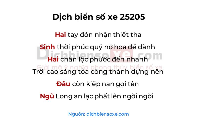 Dịch thơ biển số 25205