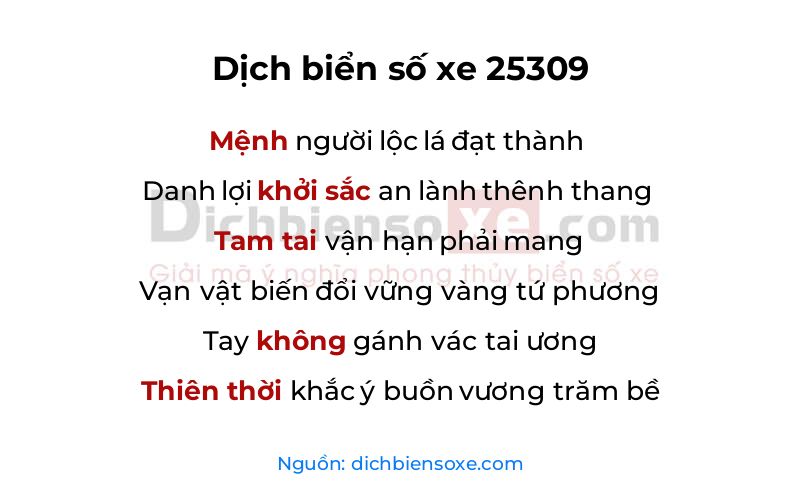 Dịch thơ biển số 25309