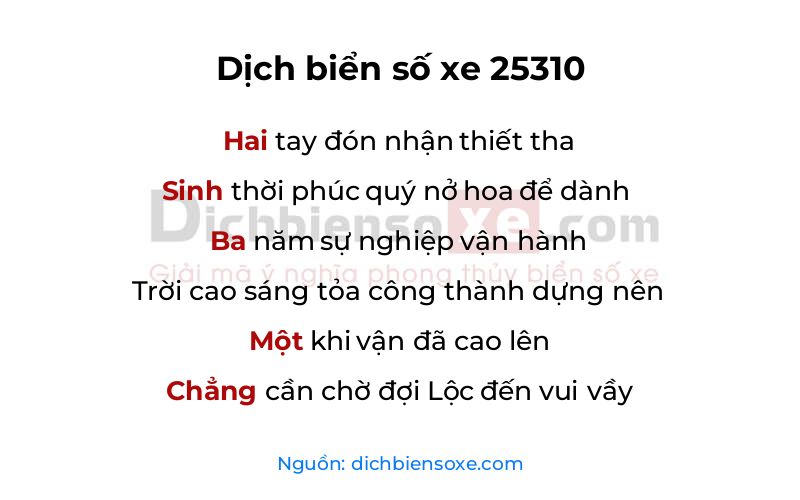 Dịch thơ biển số 25310
