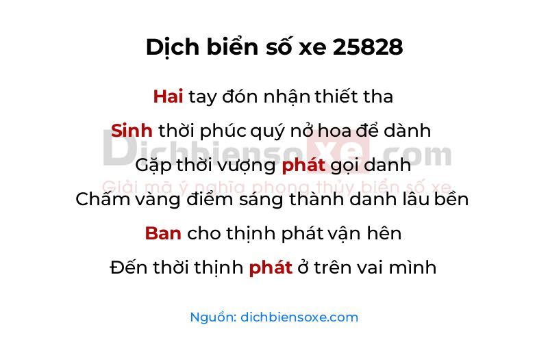 Dịch thơ biển số 25828