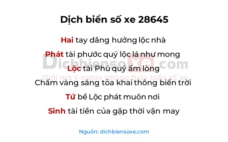 Dịch thơ biển số 28645