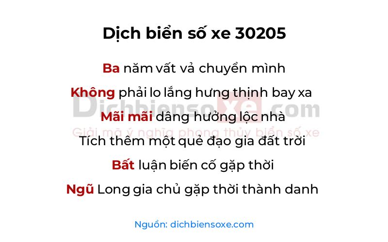 Dịch thơ biển số 30205