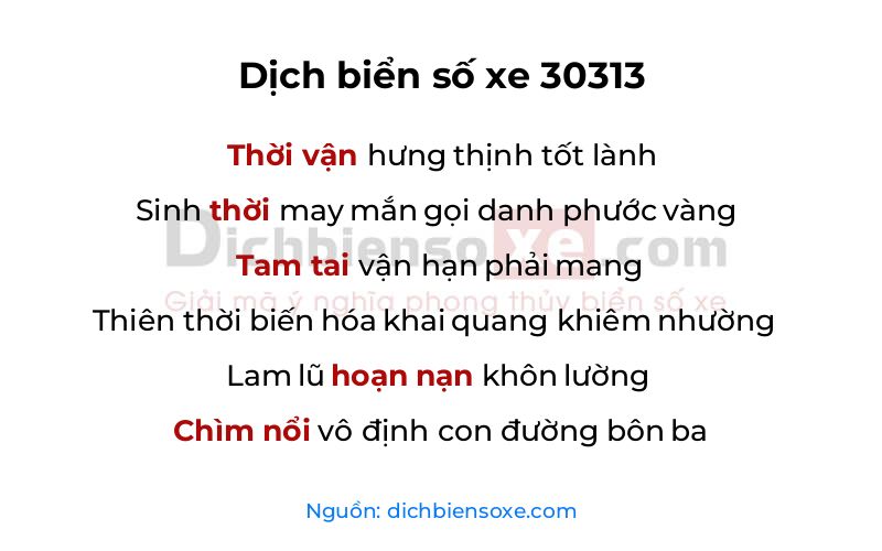 Dịch thơ biển số 30313