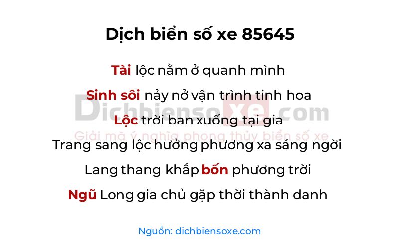 Dịch thơ biển số 85645