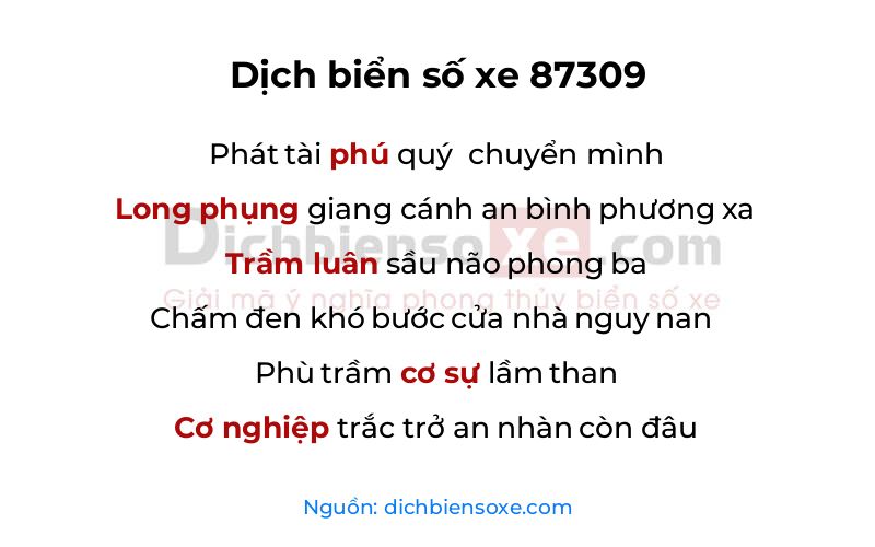Dịch thơ biển số 87309