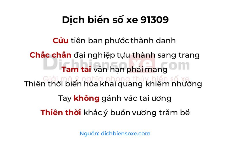 Dịch thơ biển số 91309