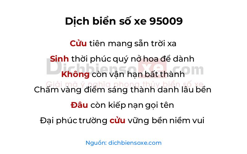 Dịch thơ biển số 95009