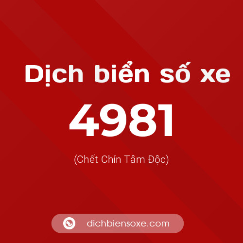 Ý nghĩa biển số xe 4981 là gì?