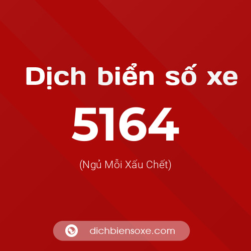 Ý nghĩa biển số xe 5164 là gì?
