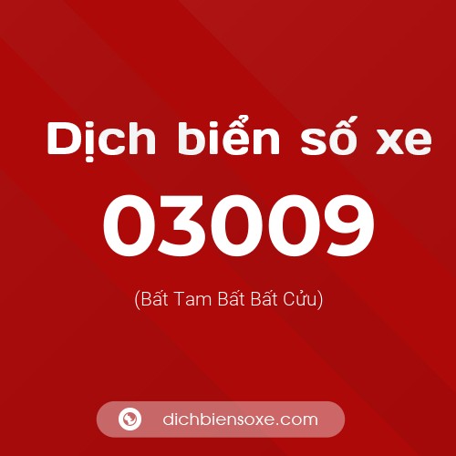 Dịch biển số xe 03009 (Bất Tam Bất Bất Cửu)