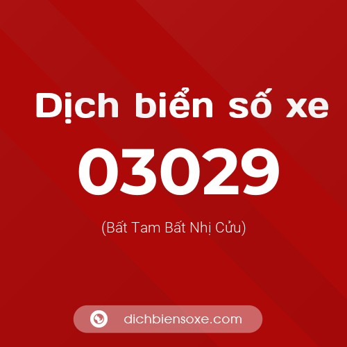 Dịch biển số xe 03029 (Bất Tam Bất Nhị Cửu)