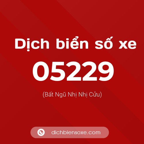 Dịch biển số xe 05229 (Bất Ngũ Nhị Nhị Cửu)