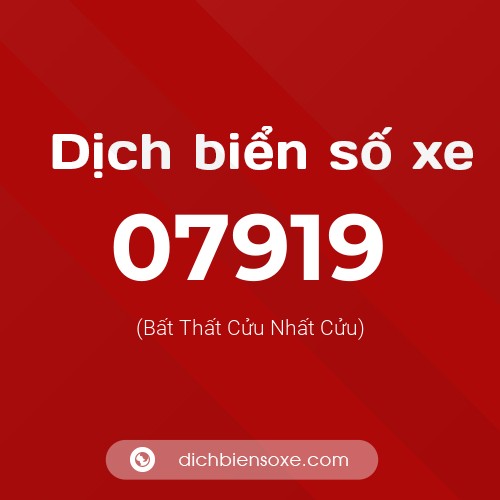Dịch biển số xe 07919 (Bất Thất Cửu Nhất Cửu)