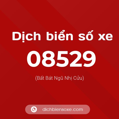 Dịch biển số xe 08529 (Bất Bát Ngũ Nhị Cửu)