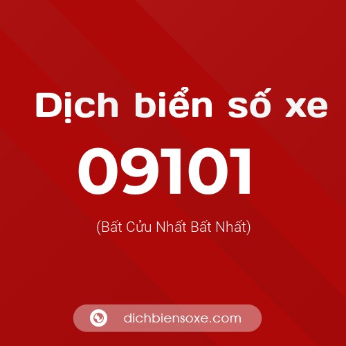 Dịch biển số xe 09101 (Bất Cửu Nhất Bất Nhất)