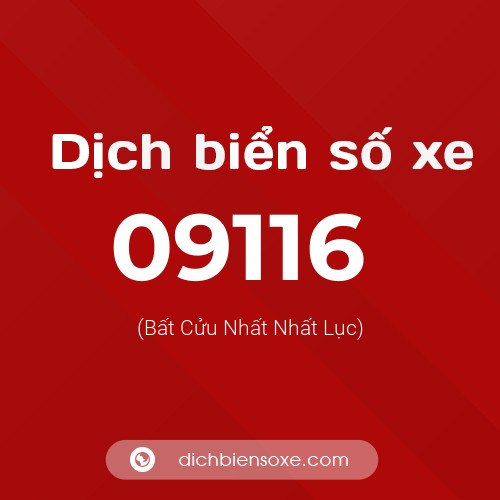 Dịch biển số xe 09116 (Bất Cửu Nhất Nhất Lục)