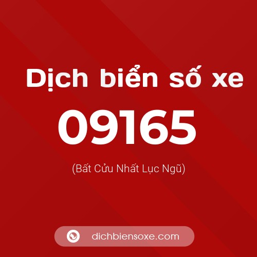 Dịch biển số xe 09165 (Bất Cửu Nhất Lục Ngũ)