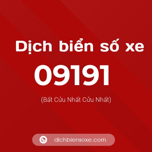 Dịch biển số xe 09191 (Bất Cửu Nhất Cửu Nhất)