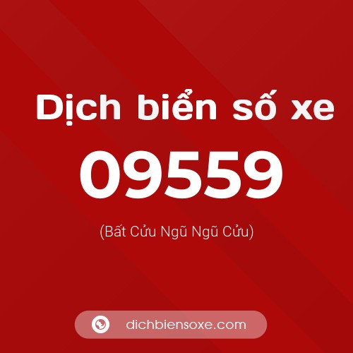Dịch biển số xe 09559 (Bất Cửu Ngũ Ngũ Cửu)