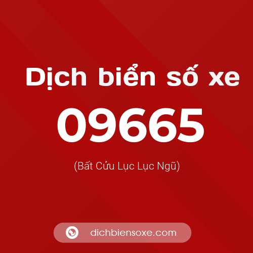 Dịch biển số xe 09665 (Bất Cửu Lục Lục Ngũ)