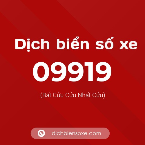 Dịch biển số xe 09919 (Bất Cửu Cửu Nhất Cửu)