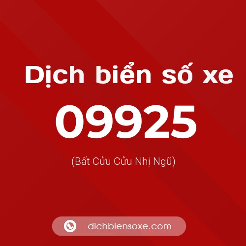 Dịch biển số xe 09925 (Bất Cửu Cửu Nhị Ngũ)